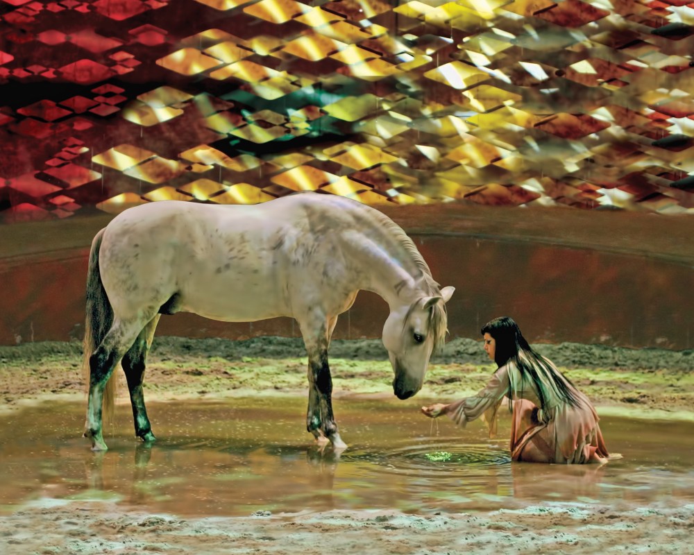 Cavalia 3 res